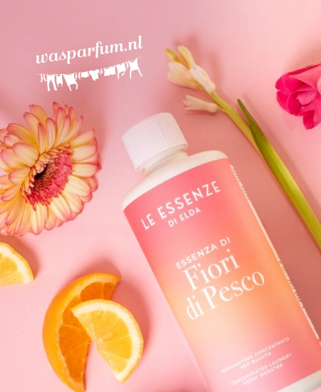 Zo bouwden we met Shopify Plus aan het succes van Wasparfum