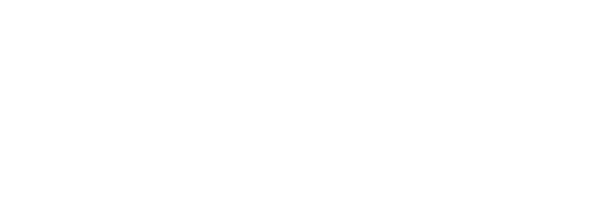 Shopify Plus Partner