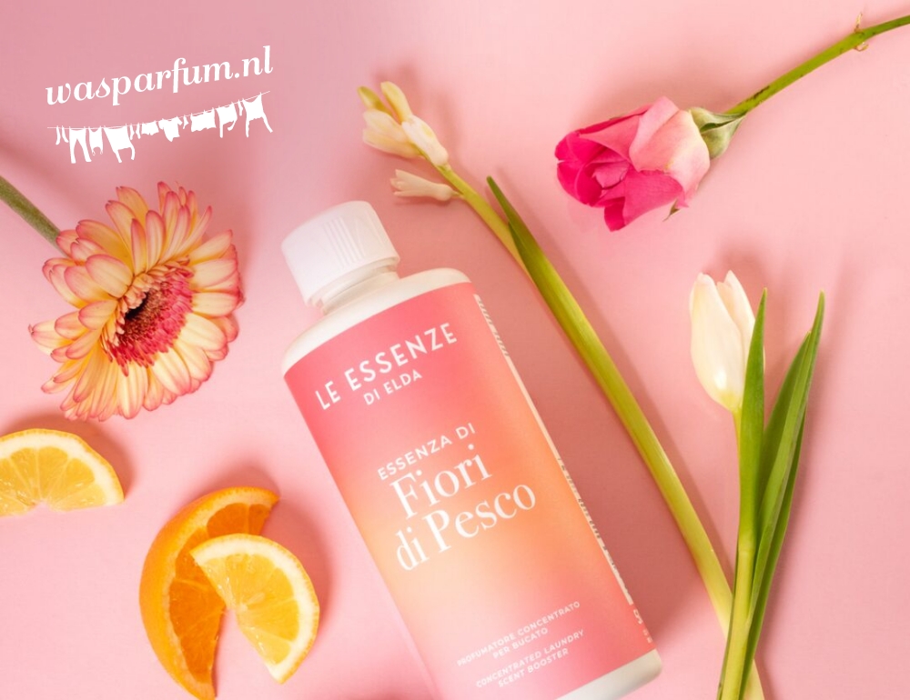 Zo bouwden we met Shopify Plus aan het succes van Wasparfum